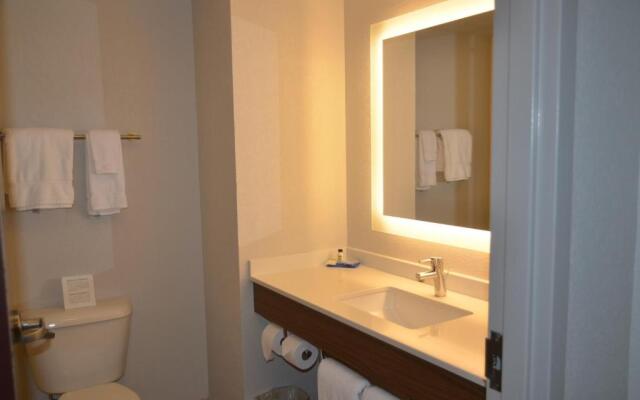 Holiday Inn Express Hotel & Suites Rochester by IHG