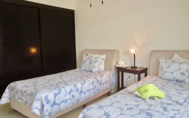 Aqua Terra Palm by Playa Paradise