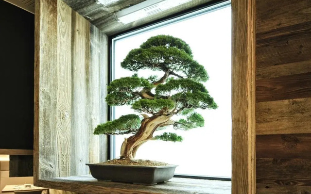 alpslodge Hotel Garni