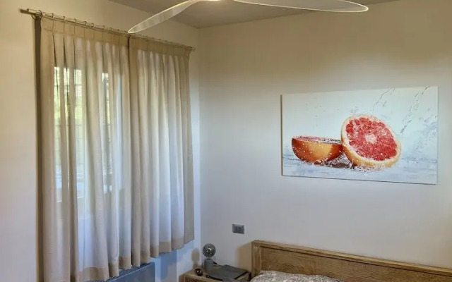 Villa del Lis