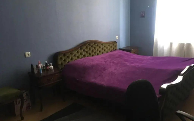 Guest House Vedzisi