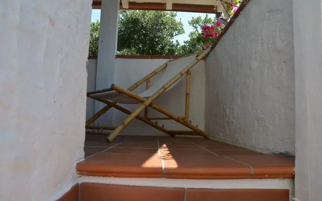 Via Degli Asfodeli - Fpo-asf03