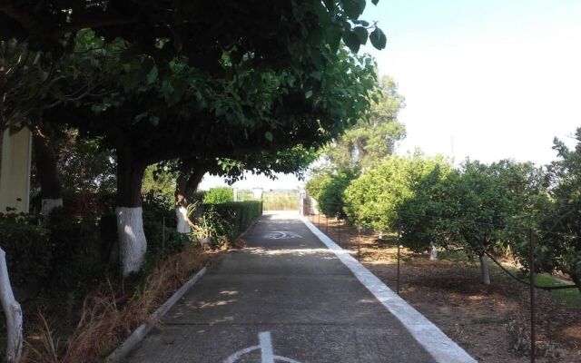 Country Cottage in Kardiakafti, Peloponnese