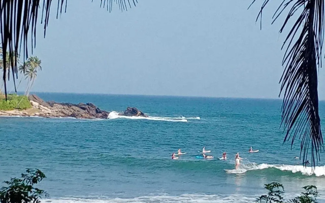 Surf Paradise Hotel