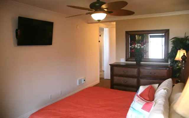 Panoramic Perfection