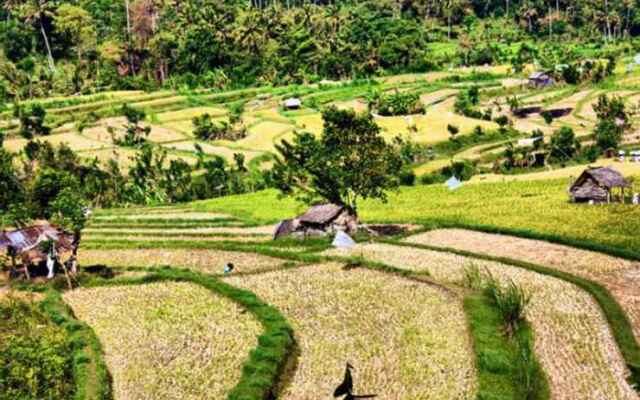 Kusuma Jaya On The Hill