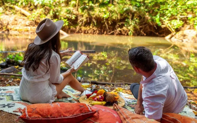 The Canopy Rainforest Treehouses and Wildlife Sanctuary