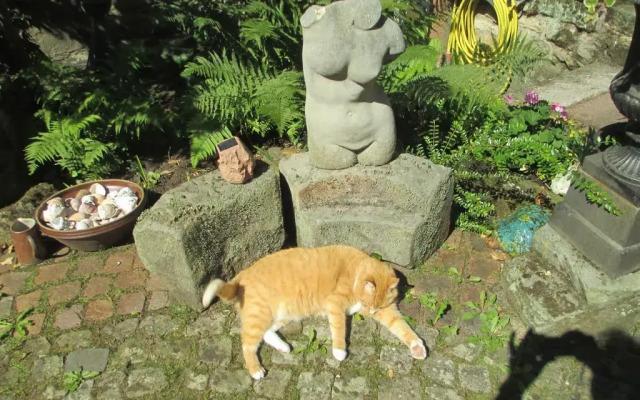 Wohnen in der Kemenate Goslar