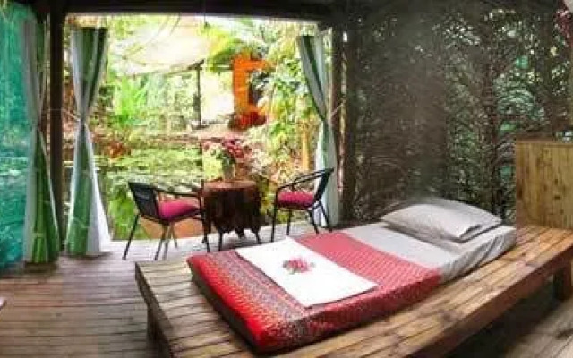 Rainforest Hideaway
