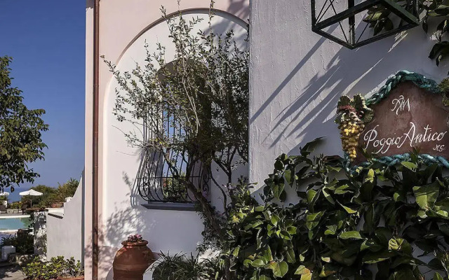 Tenuta del Poggio Antico