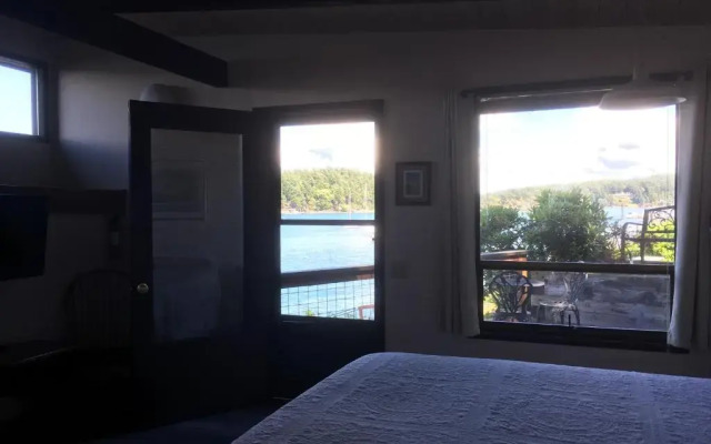 Friday Harbor Lights