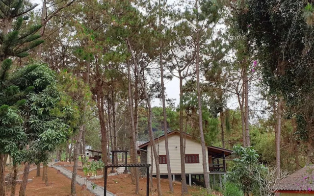Phouphadeng Hotel - Auberge de la Plain des Jarres