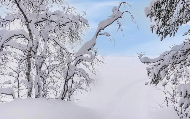 Sarah Dreamhome in Lapland Kittil
