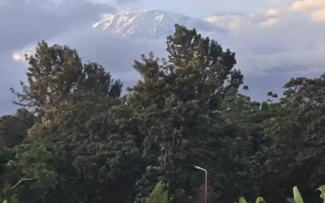 Tulivu Escape