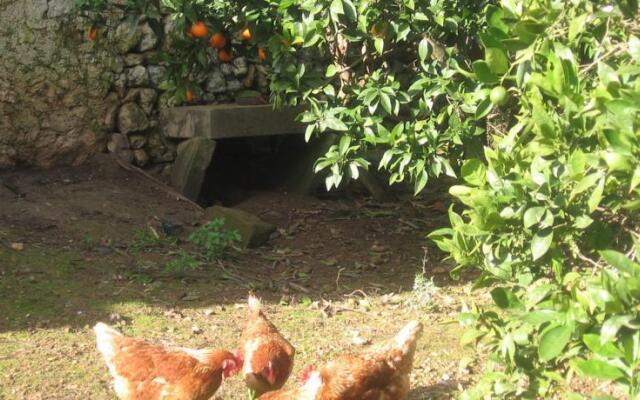 Finca Binatref en Sineu