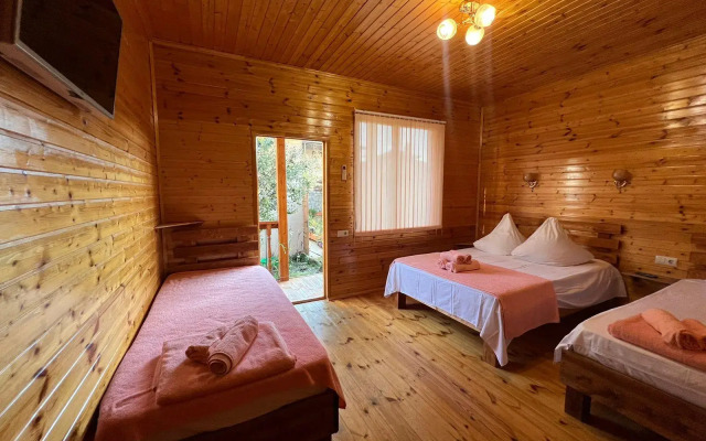 Guest house Abkhazian courtyard