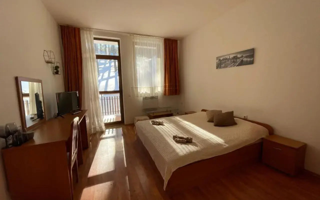 Studio Pamporovo Palace