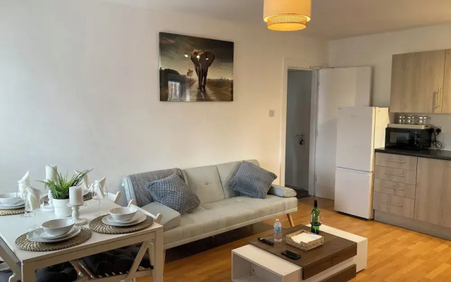 Cozy and Central City Apartment in Liverpool