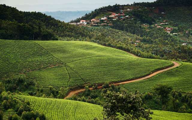 One&Only Nyungwe House