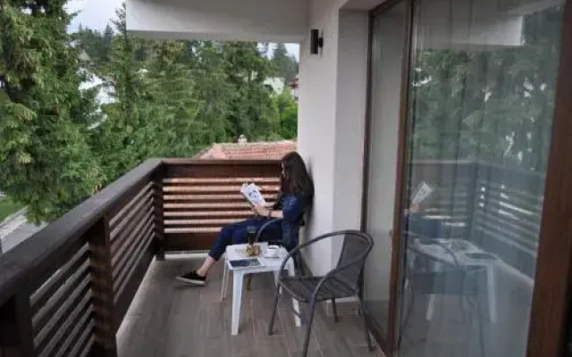 Villa-Garden Apart Predeal-Mountain view