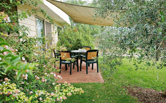 Starline Alpacas Farmstay Resort