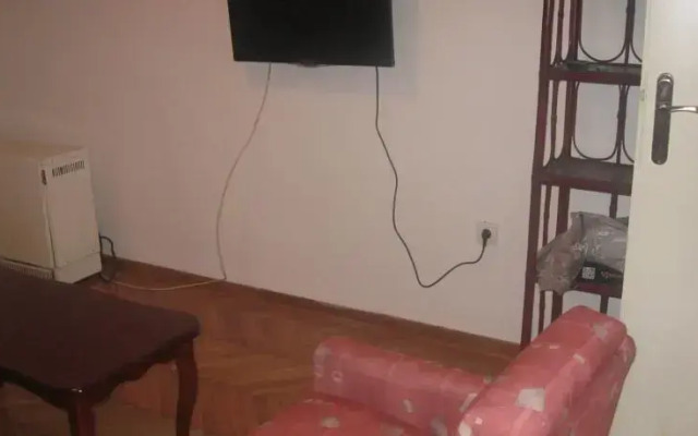 Apartment Zoran Skadarlija