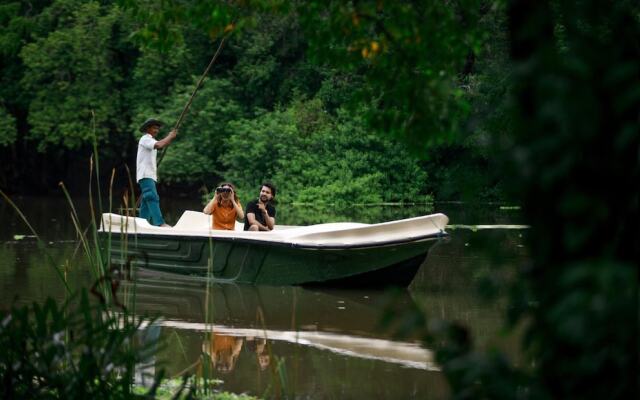 The Backwaters