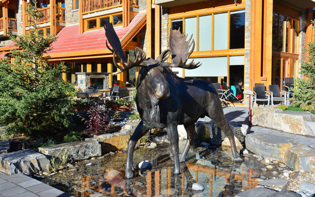 Moose Hotel And Suites