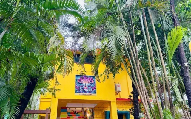 Lost Paradise A Social Hostel