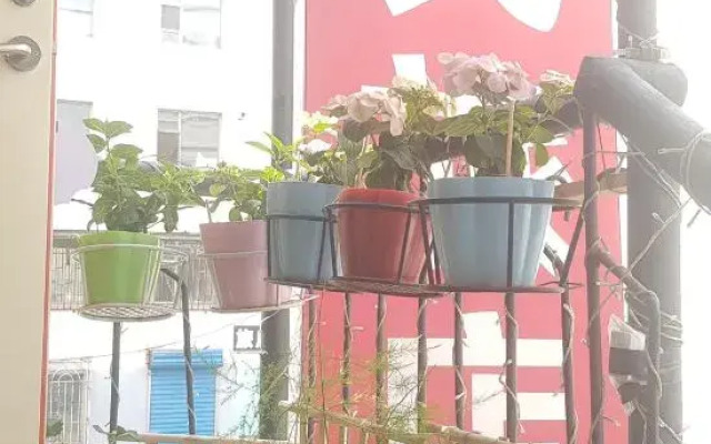 Wu's Hostel