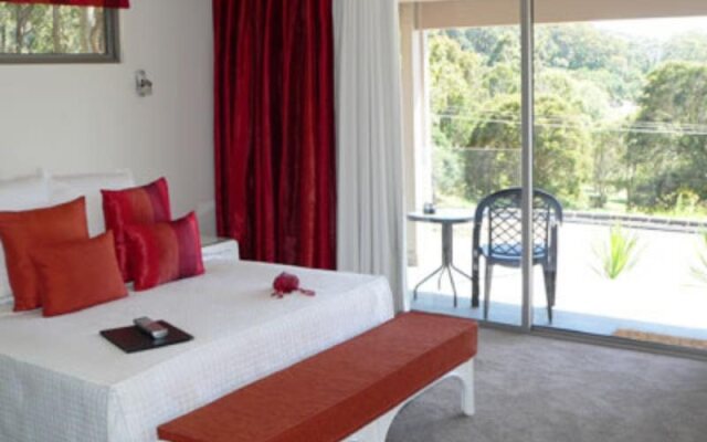 Terrigal Hinterland