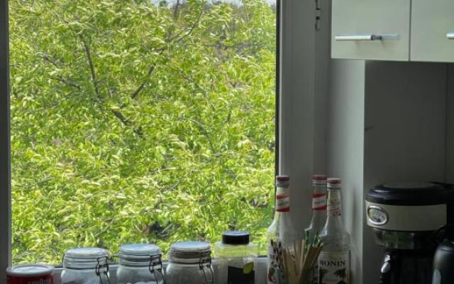 Szumi Las Bed & Breakfast