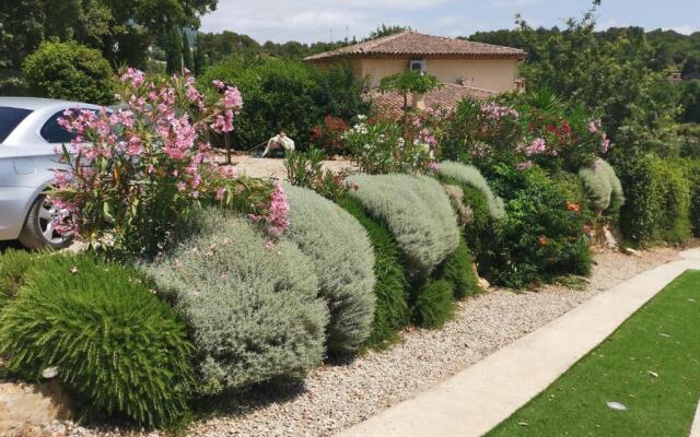 Villa Flora Superior Apartment