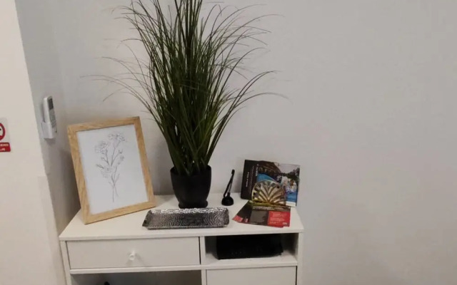 Studio Apartment Enter