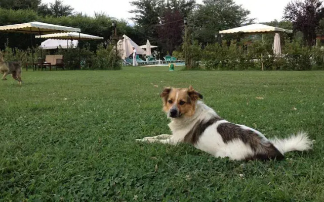 La Cascina Country House