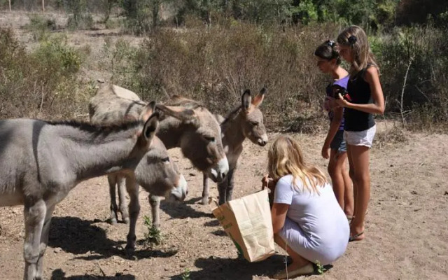 Domaine de Chiterbio