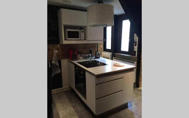 T3 duplex industriel hyper centre ville historique