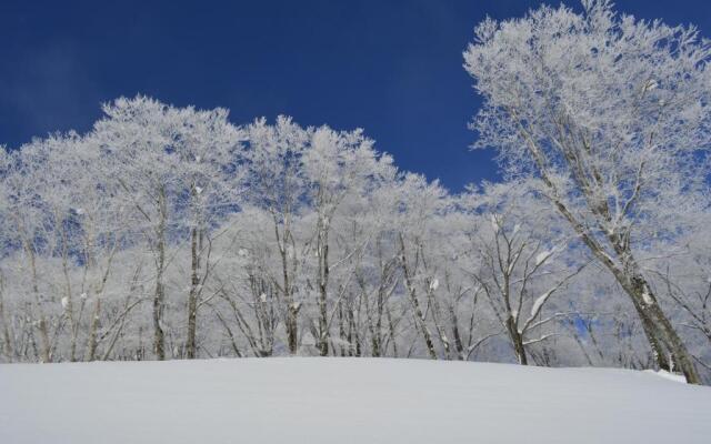 B&B Santana Hakuba