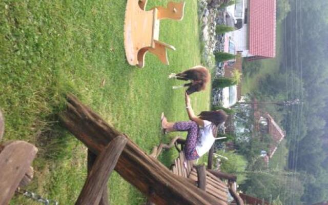 Pensiunea Vidra de Sus