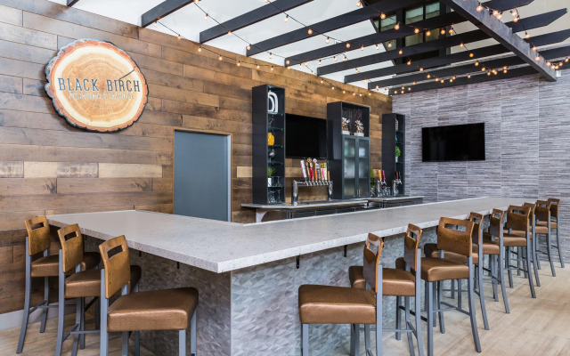 Holiday Inn Roanoke Airport – Conference CTR by IHG