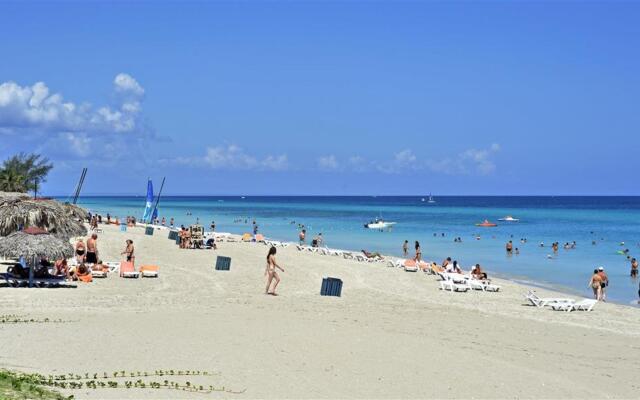 Sol Palmeras