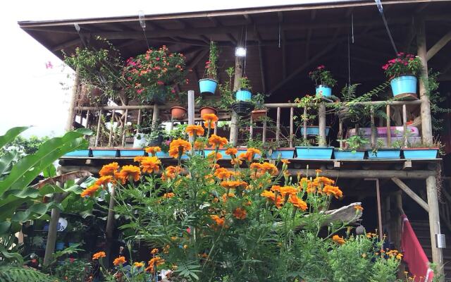Wood House Hostel