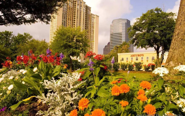 Hilton Garden Inn Houston/Galleria Area