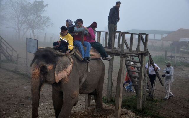 Chitwan Safari Camp & Lodge