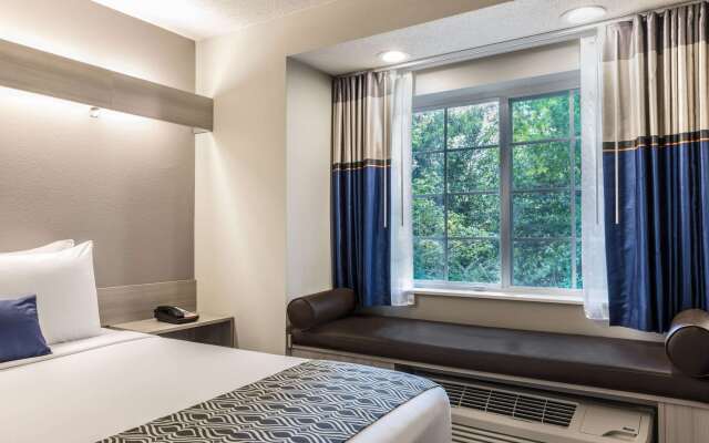 Microtel Inn & Suites by Wyndham Atlanta/Buckhead Area