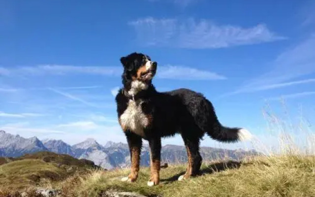 Badl Gasthof