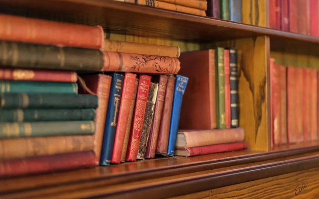catalogImage