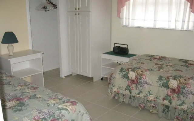 Palm Tree by 123cape VR