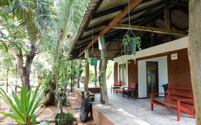 Yala Avian Eye Safari