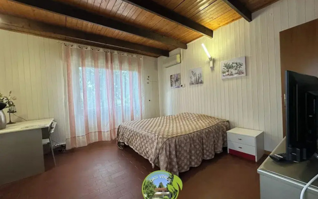 Oasi Venus Perugia Assisi Affittacamere